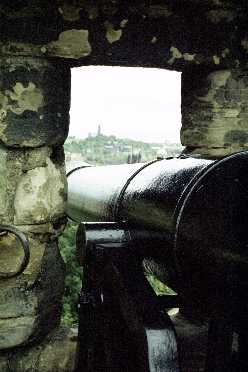 Gun on Half Moon Battery