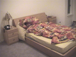 Hiding under the pillows