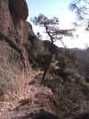 trail1.jpg (264945 bytes)